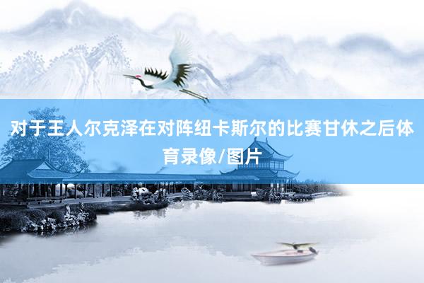 对于王人尔克泽在对阵纽卡斯尔的比赛甘休之后体育录像/图片