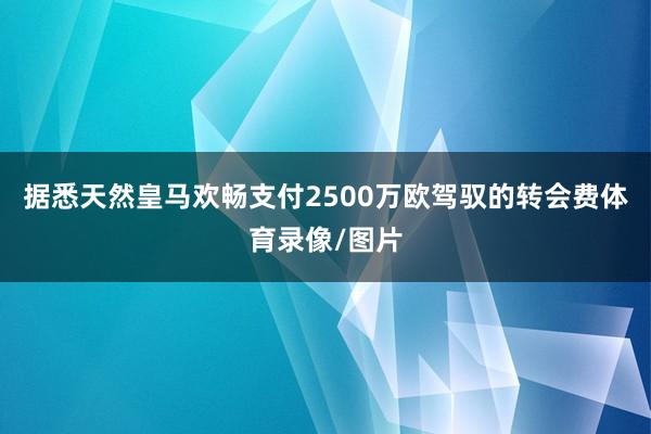 据悉天然皇马欢畅支付2500万欧驾驭的转会费体育录像/图片