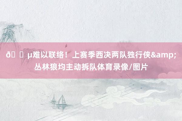 😵难以联络！上赛季西决两队独行侠&丛林狼均主动拆队体育录像/图片
