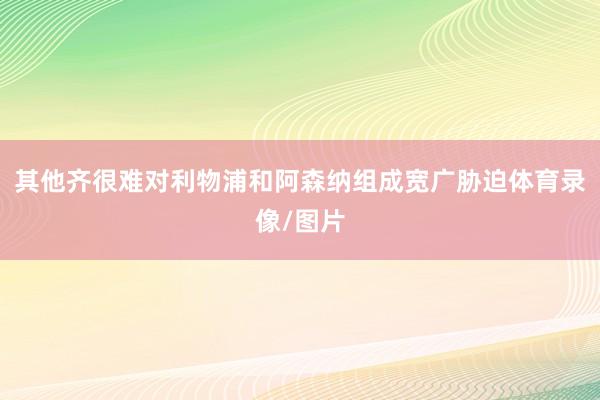 其他齐很难对利物浦和阿森纳组成宽广胁迫体育录像/图片