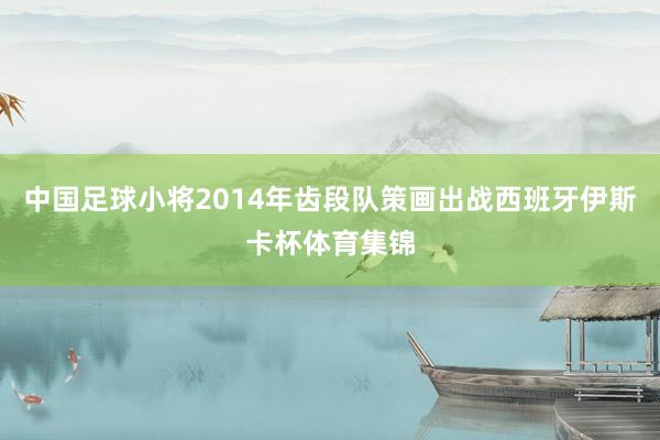 中国足球小将2014年齿段队策画出战西班牙伊斯卡杯体育集锦