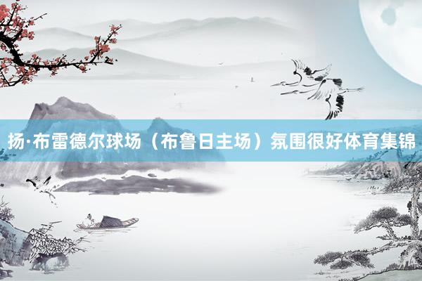 扬·布雷德尔球场（布鲁日主场）氛围很好体育集锦