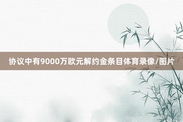 协议中有9000万欧元解约金条目体育录像/图片