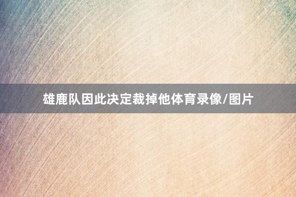 雄鹿队因此决定裁掉他体育录像/图片