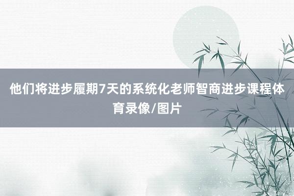 他们将进步履期7天的系统化老师智商进步课程体育录像/图片
