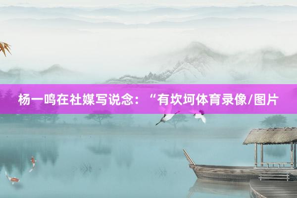 杨一鸣在社媒写说念：“有坎坷体育录像/图片