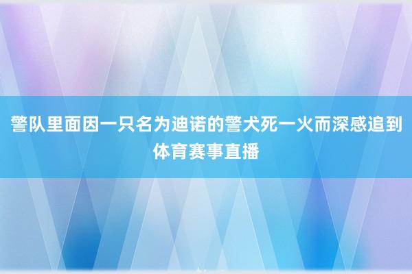警队里面因一只名为迪诺的警犬死一火而深感追到体育赛事直播